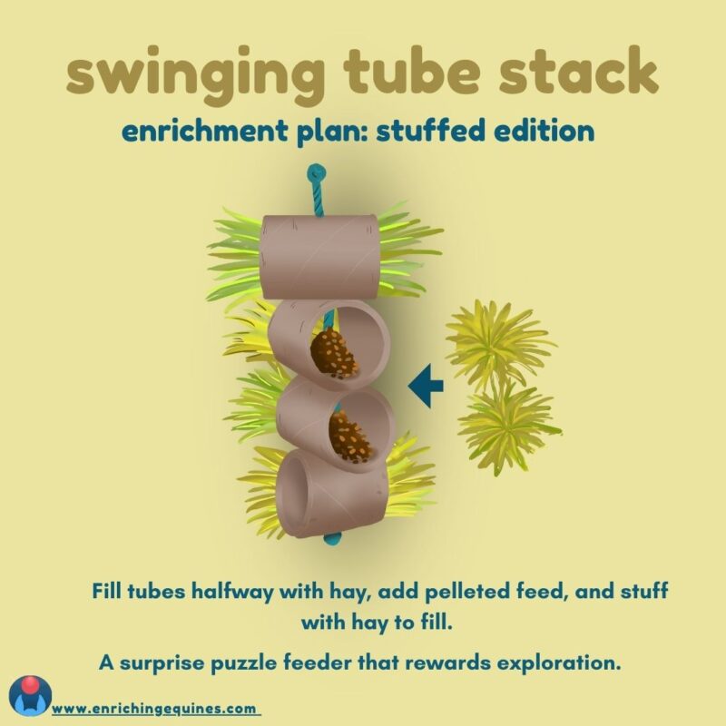 Graphic of horse enrichment item. Yellow background with dark yellow and blue text. Image shows horse enrichment item made of cardboard tubes and grass. Text reads: swinging tube stack. Enrichment plan: gimme green. Stuff tubes with fresh green grass. Perfect for winter or horses who can't have free grazing. 