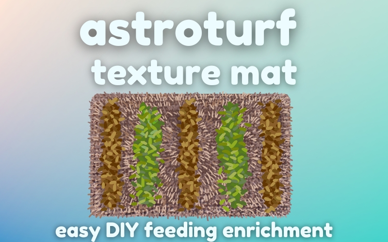 Blog post header image shows pale pastel blue background with digital art image of Astroturf doormat covered in horse feed. Text reads: Astroturf texture mat. Easy DIY feeding enrichment. 