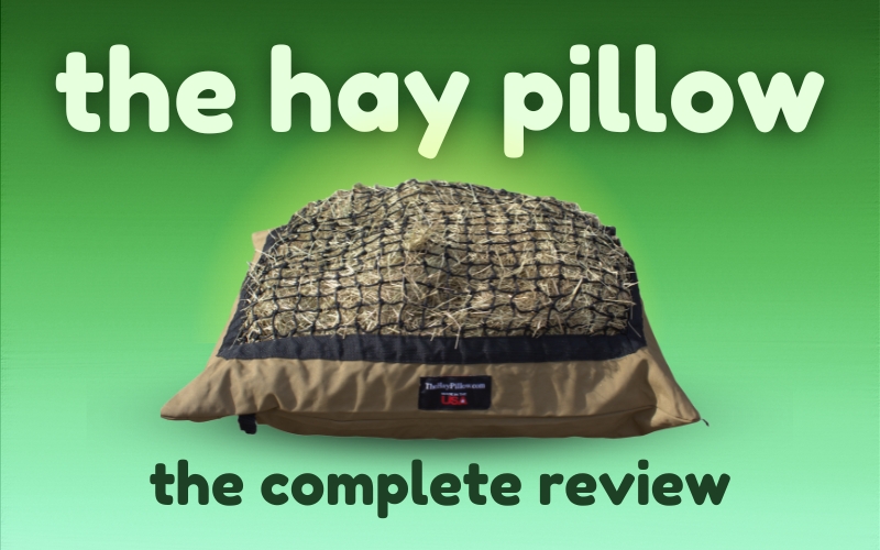 Blog article hero image showing Hay Pillow for horses on green gradient background. Text reads: The Hay Pillow  Complete Review