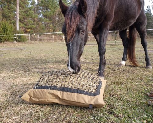 A black gelding eats from Hay Pillow.