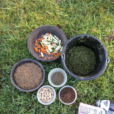 A selection of horse feed and treats in buckets. 