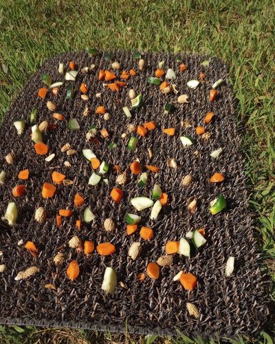 A brown Astroturf door mat covered in bits of carrot and cucumber. 
