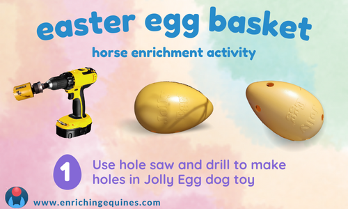 Blog graphic on pastel background gives instructions for making DIY horse enrichment.