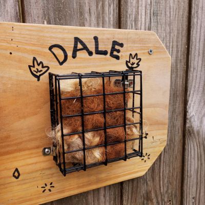 Close up of horse social scent board for equine enrichment showing suet cage full of horse hair. Painted name label on top reads "Dale"