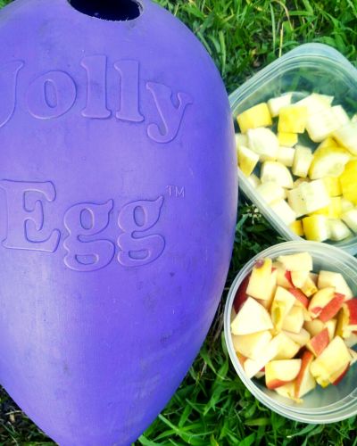 Purple jolly egg toy next to cut horse treats of apple and pear.