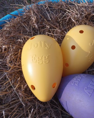 Yellow Jolly egg toy with holes added for equine enrichment.