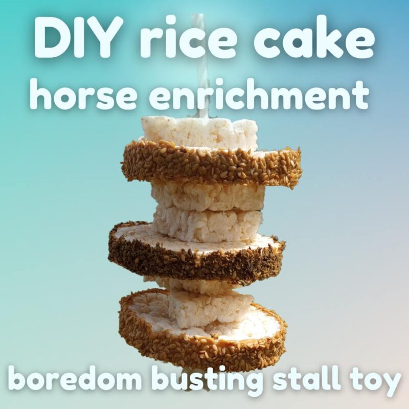 Blog article illustration shows rice cake toy on pastel blue background. Text reads: DIY rice cake horse enrichment. Boredom busting stall toy.