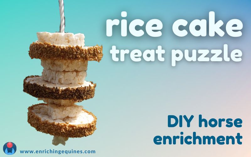 Blog post hero image featuring DIY rice cake horse toy on blue pastel background. Text reads: Rice cake treat puzzle. DIY horse enrichment