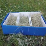 Nested Forage Box: Easy Horse Enrichment - Enriching Equines